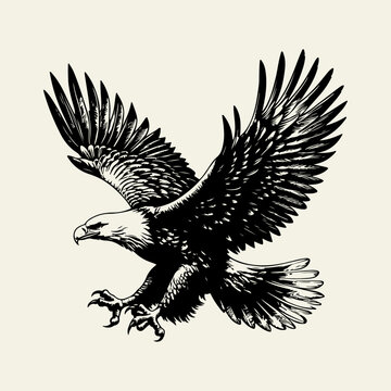 eagle vector illustration