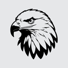 eagle head isolated on white