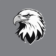 Fototapeta premium eagle head vector illustration