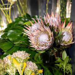 Fototapeta premium A wedding bouquet of Protea cynaroides and monstera leaves decorates the interior for various occasions.