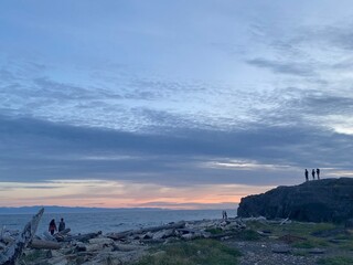 Driftwood on Rocky Beach at Sunset