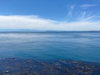 Views of Lime Kiln State Park 