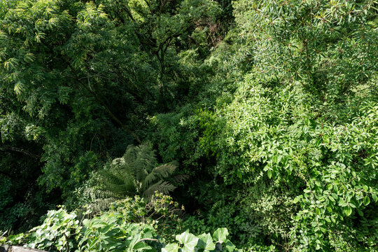Belvedere Mountain Quilombro Valley in the city of Gramado in Rio Grande do Sul
