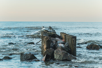 Calm ocean water gently washes against the breakwater made of wooden posts and rocks during early morning creating a serene atmosphere Soft colors reflect the rising sun