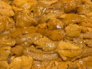 新鮮な板うにのアップ