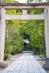 鶴岡八幡宮　鎌倉　Tsurugaoka Hachimangu, Kamakura