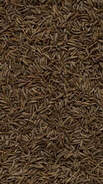 Whole cumin (Cuminum cyminum) seeds as background texture. Table spin, vertical video.