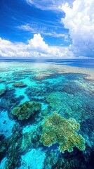 Obraz premium Scenic aerial perspective of vibrant coral reef in crystal clear tropical waters