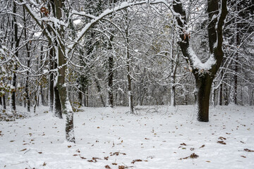 Winter Landscape of South Park in city of Sofia, Bulgaria