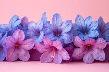 Obraz premium Delicate Purple and Blue Flowers on Pink Background