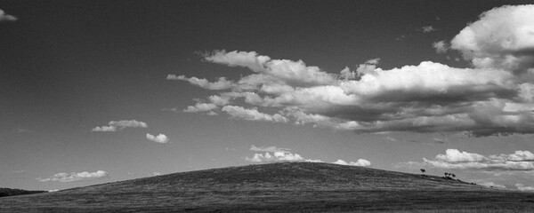 9/15/22 HASTINGS MESA, COLORADO, USA - white puffy storm clouds hover over prairie grass