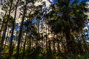 Oxbow Eco-Center and Preserve, Port St. Lucie, Florida