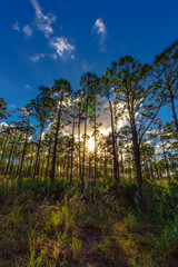 Oxbow Eco-Center and Preserve, Port St. Lucie, Florida