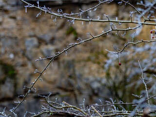 Gesteinsschichten im Muschelkalk