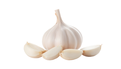 single garlic bulb and its individual cloves isolated on a clean white background