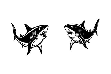 The shark black and white image for illustration.
