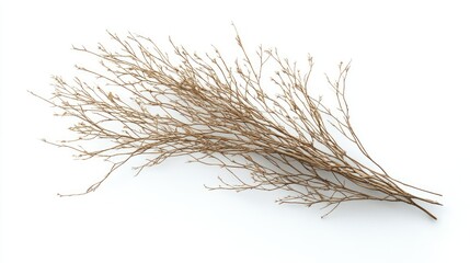 A single dry tumbleweed with intricate branches, isolated on a clean white background
