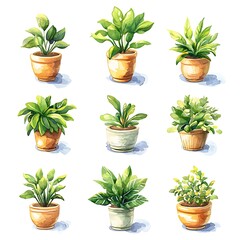 Obraz premium Collection of Nine Watercolor Paintings of Houseplants in Various Pots.