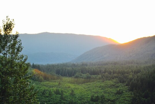 Oregon sunset meadow landscape with trees
