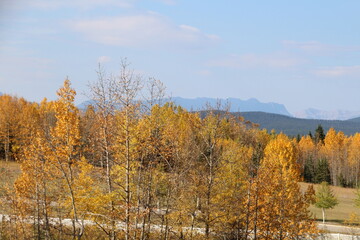 autumn in the mountains, Nordegg, Alberta