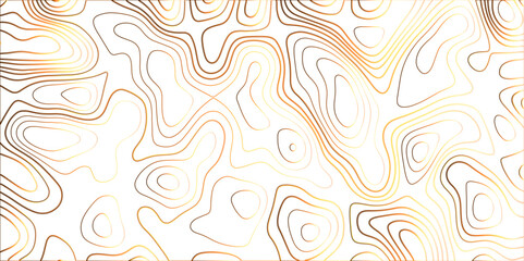 Topographic canyon geometric map relief texture with curved layers and shadow. abstract White background with a beautiful pattern, Topographic contour lines vector map seamless pattern vector.