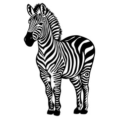 Zebra Silhouette Vector: Free and Premium Designs for Creative Projects