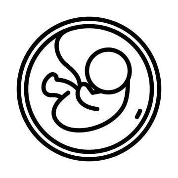 Fetus