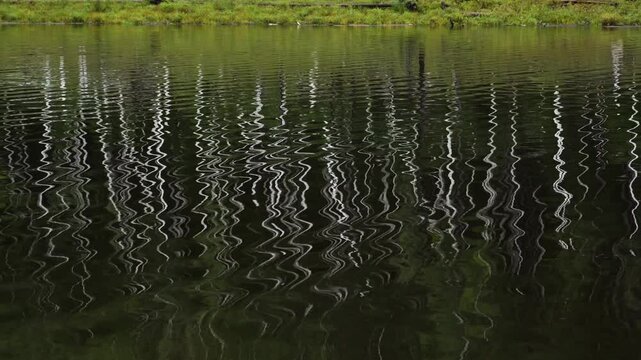 Zeya Reservoir. Picturesque views from the calm lake to the green hills and forest.