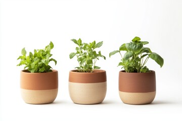 Fototapeta premium clay planters isolation on white background