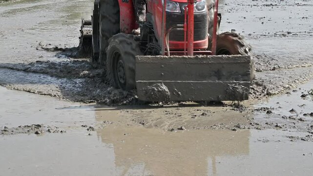 A tractor pull a plow through mud rice field before planting. Tractor is a vehicle that's used on a farm or work site.