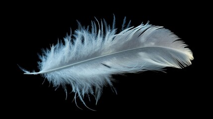 Obraz premium A delicate white feather with intricate details against a black background.