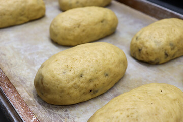 発酵中の生地、自家製天然酵母で作るドライフルーツのパン