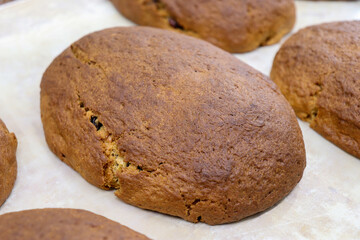 パン屋の厨房、焼きたてのドライフルーツのパン