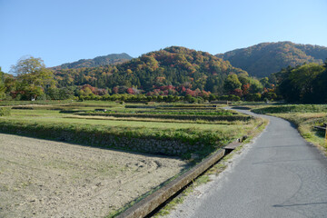 修学院　田園風景　京都市左京区