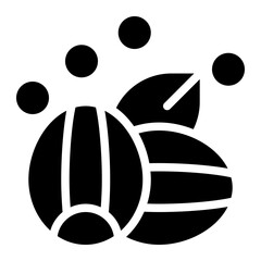 Sunflower Seed Solid Icon