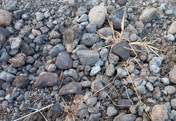 Stones in nature give their own nuance and character when looking at them