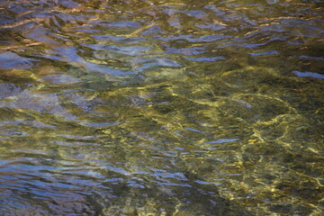 Water Mirror Green-1