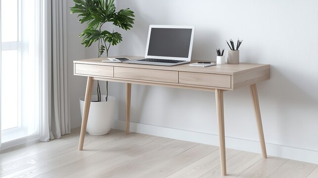 Minimalist workspace with laptop on a light wooden desk and green plant.