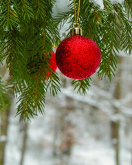 Red christmass balls on spruce tree branch.