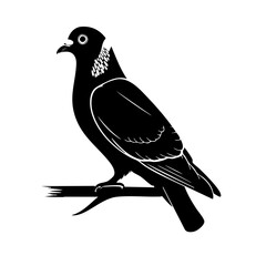 Pigeon illustration vector icon