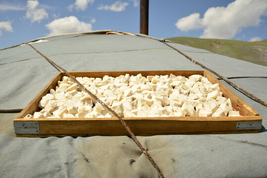 Mongolian dairy product Aaruul or Curd made from drained sour milk drying on the sun.