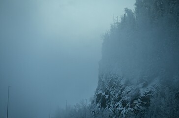Foggy Cliff with Pretty Winter Scene