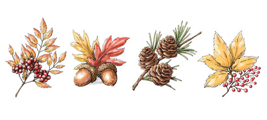 秋冬の植物コレクション　水彩画の素材セット　装飾用のイラスト