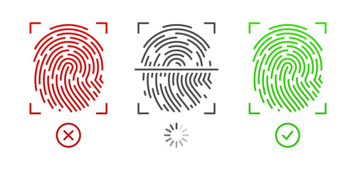 Biometric fingerprint identification, vector illustration. Secure access to personal data. Positive and negative fingerprint scanning result.