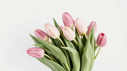 Fototapeta premium Elegant Pink Tulips Bouquet - Perfect for Home Decor, Gifting, or Special Occasions - Fresh and Beautiful Flowers for Any Event
