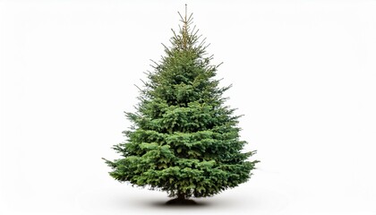 Christmas tree on isolated white background.