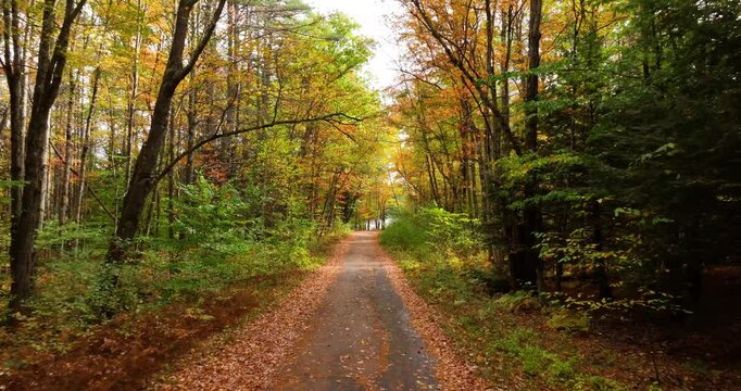 Driving through trees in an autumn forest on a dirt road with leaves on the ground