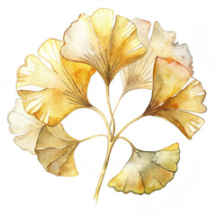Naklejka premium Watercolor cut out gold line art gingko floral isolated on white background