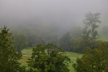 Morning fog over the valley