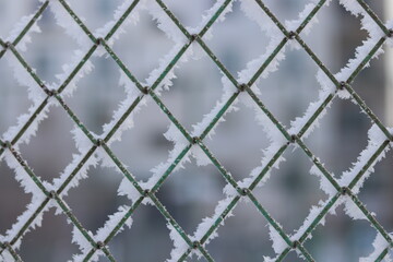 Fototapeta premium wire fence